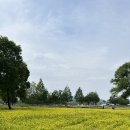 치인 야영장 이미지