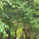 시은목장 이미지