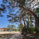 흥해서부초등학교 이미지