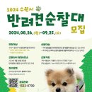 우리강아지 이미지
