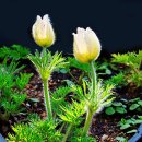 달맞이펜션 이미지