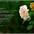 아사히글라스화인테크노코리아