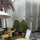 칠성고등학교 | 대구 브런치카페 “홀란드” | 오전9시 open⭕️