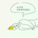 오늘잔치국수 이미지