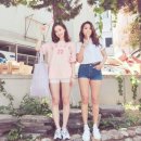 다솜 - 안양시 만안구 안양동 | 다솜
