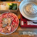 타이무카타 이미지