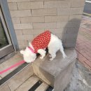 박영진치과의원 이미지