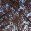 A3 | [충주호 청풍호반캠핑장] 뷰맛집 캠핑장 A3후기 겨울인듯 가을인듯