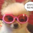 베뉴타워 이미지