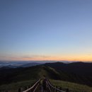 삼가동 Daum카페