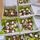 설악초등학교 이미지