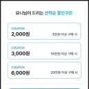 7개의 코드로 읽는 유럽 도시 | 터키 이스탄불 여행 코스 튀르키예 시내 투어 + 마이리얼트립 12월 코드 할인 ♥