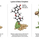 작은약국 이미지