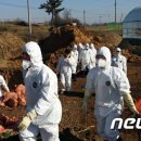 김동규농장 이미지