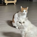 또므