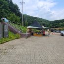 비봉산표고