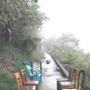 보성88마트 이미지