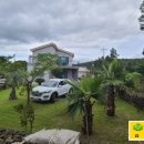 표선리-30 이미지