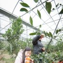 규리농장 이미지