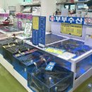 １１번회센타