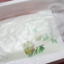 바보펜션 이미지