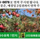 ㈜엽록소 이미지