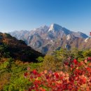 단풍 - 종로구 삼청로 130 | 단풍