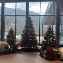 파크로쉬 리조트앤웰니스 | 국내 태교여행 강원도여행 정선여행 파크로쉬 리조트앤웰니스 조식후기