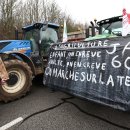 프랑스처럼 살고 싶다 이미지