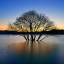 황금오리집 이미지