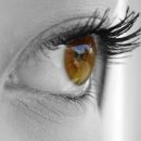 맑은눈사랑안경 이미지