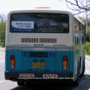 신흥여객 이미지