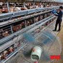 진일농장 이미지