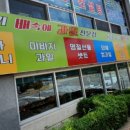 물고기배속에과일