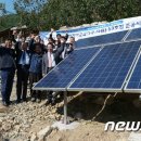써니플랜트