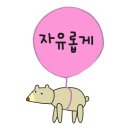 바른손타이