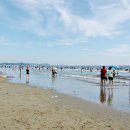 안면도발리 이미지