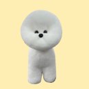 댕댕미용 이미지