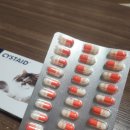 저스트벳 동물병원 | 🐱고양이 방광염 관리의 필수템! 벳플러스 시스테이드 솔직 후기🐱