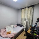 목화(2차) 이미지