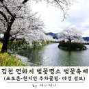 금릉초등학교 | 김천 연화지 | 벚꽃 명소 낮에도 예쁜 포토존·현지인 주차 꿀팁·야경 정보
