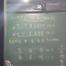 황금꽃돼지 | 선부동맛집)둘기집(황금꽃돼지)과 배달참치