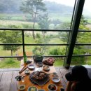 꽃보다닭 이미지