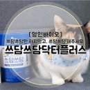 영인카센타 | 츄르스틱 타입 고양이 영양제, 영인바이오 쓰담쓰담 닥터플러스 참치맛 리뷰