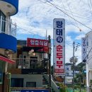 정동진역 | 정동진역 맛집 일출식당 내돈내산 후기