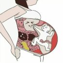 [케이엔자임 단호박] 임신 중기 꿀템 효소