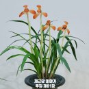 이야기81-인연 이미지