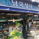 수족관남국상사 | 청계천 수족관 거리 (6) 남국상사 수족관 방문 후기