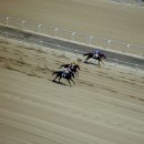 부산경남경마공원 화장실 이미지