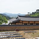 류지례 묘소 Daum카페